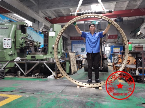 精密回轉大蝸輪海洋平臺專用